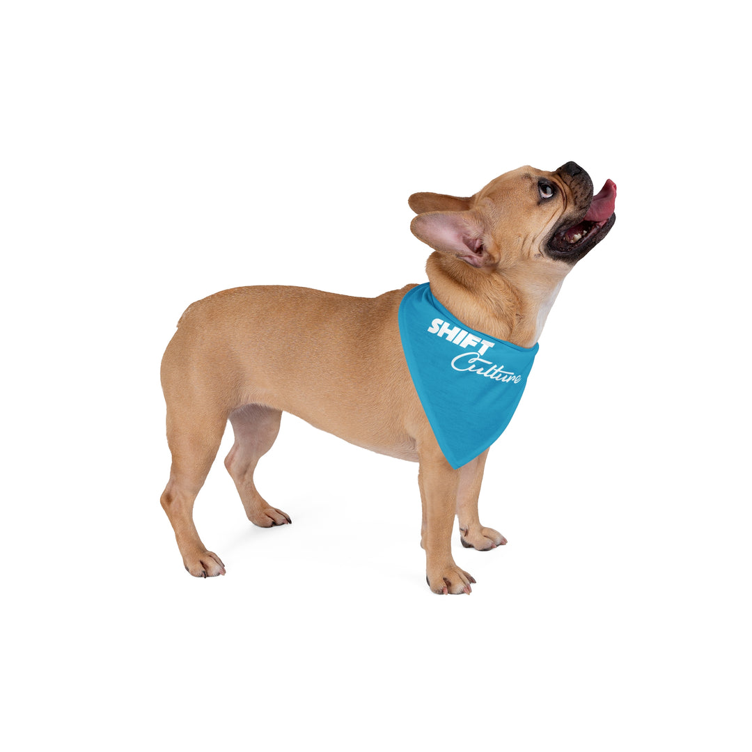 Pet Bandana (Miami Blue)